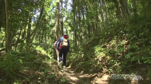 推姬希妹儿私拍合集.