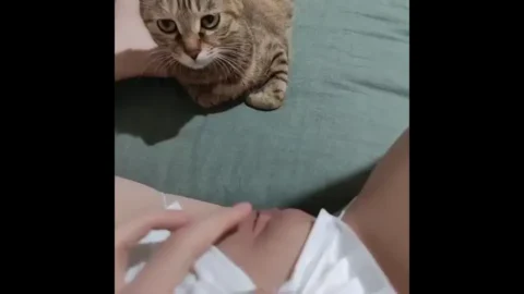 懒得想名了，自己看吧，清纯系妹-直播