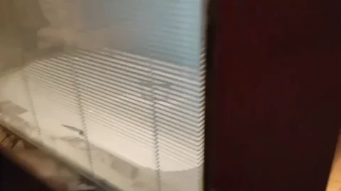 OL女主管整天诱惑我干她